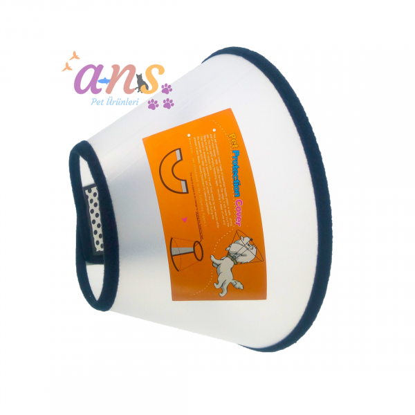 DG-071 ELİZABET YAKA 6 NUMARA