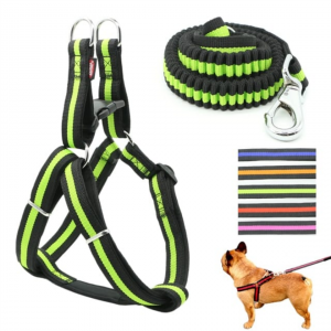 ANS 1218 ELASTİK GEZDİRMELİ YUMUŞAK DOKU 2,5 CM TAKIM TASMA