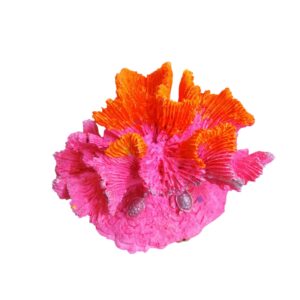 ALTAN MERCAN ORTA DEKOR