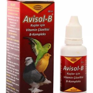 AVİSOL B