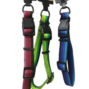 20 cm Karma Yeşil Boyun Tasması – Küçük Irk Köpekler ve Kediler İçin Ayarlanabilir Rahat Tasma | Şık ve Dayanıklı Tasarım