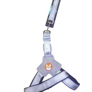 ANS-P021 XL BEDEN BEL TAKIM TASMA