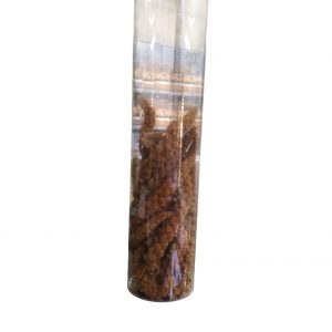 KUTU DOĞAL DALDARI 130GR