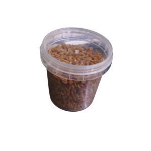 25 GR GAMMARUS